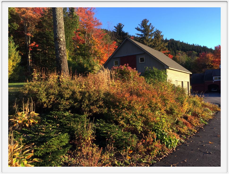 The Barn in Foliage Season