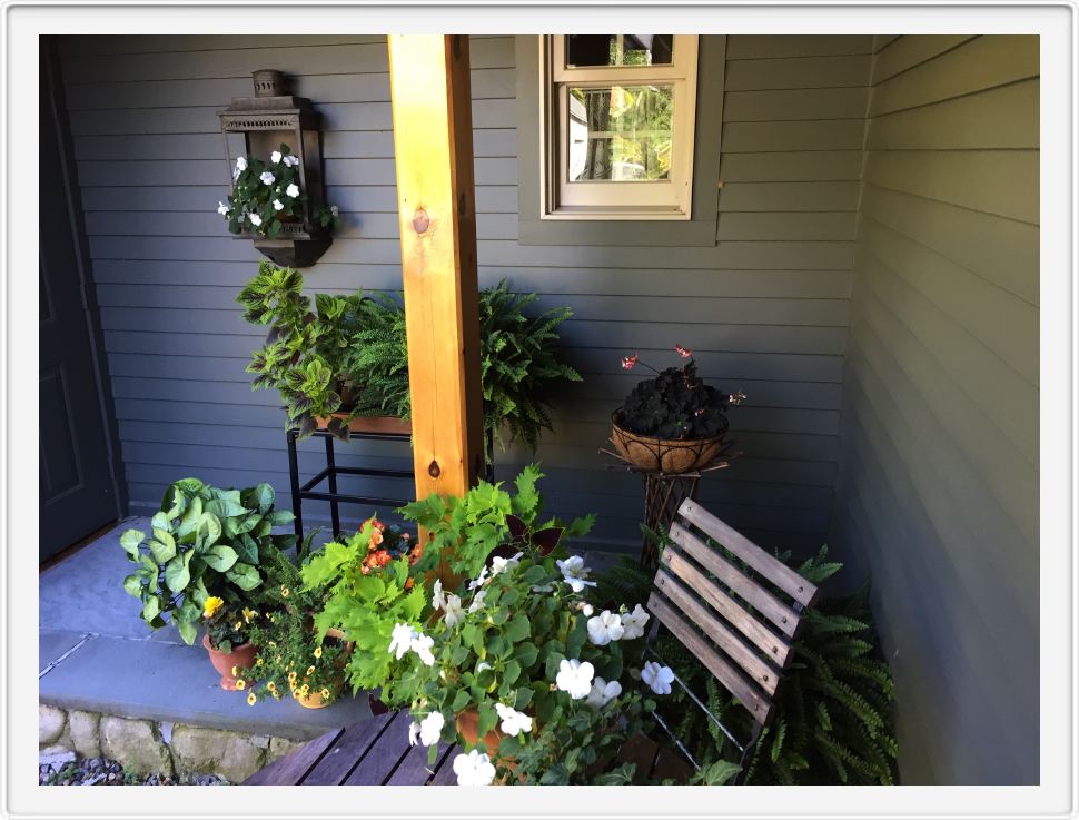 Lotsa Plants on Patio