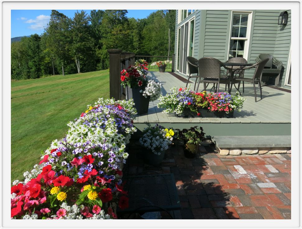 Deck Flowers