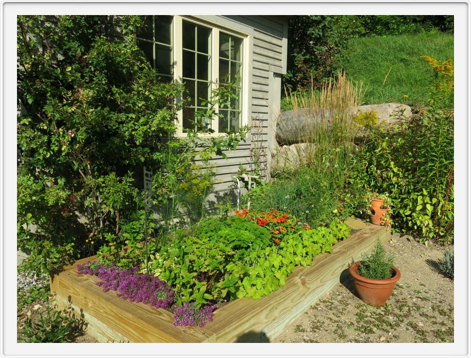 Potting Shed Plants