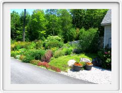 The Corner Garden in July