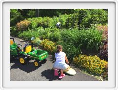 Lucy Working in the Garden