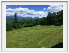 The Meadow in June