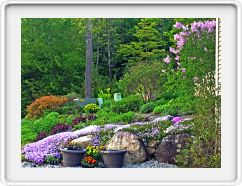 The Corner Garden Getting Ready to Bloom