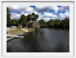 Snook Haven on the Myakka River