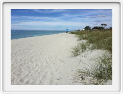 Deserted Beach in Venice, FL