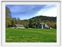 High Meadow in Mid-May