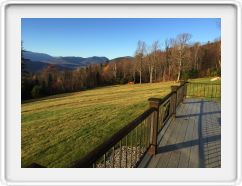 Meadow in November