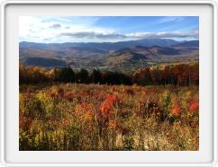 View from Our Neighbor's Lot 