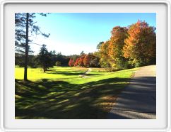 Trees Turning at the Wentworth