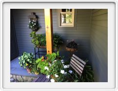 Lotsa Plants on Patio