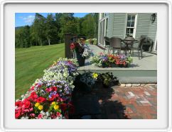 Deck Flowers