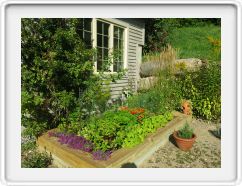 Potting Shed Plants